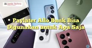 Paylater Allo Bank Bisa Digunakan untuk Apa Saja