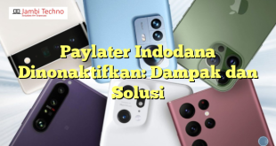 Paylater Indodana Dinonaktifkan: Dampak dan Solusi