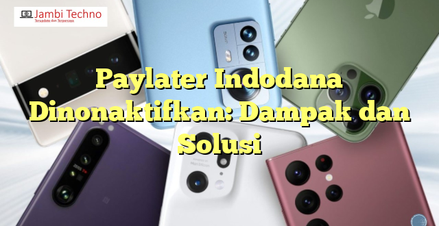 Paylater Indodana Dinonaktifkan: Dampak dan Solusi