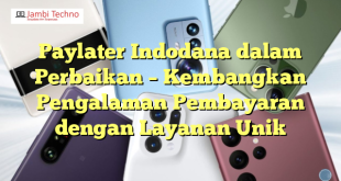 Paylater Indodana dalam Perbaikan – Kembangkan Pengalaman Pembayaran dengan Layanan Unik